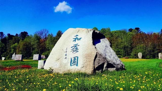 救援花卉销售员