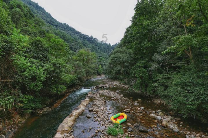 探索淡雅的昵称——知识星球平台